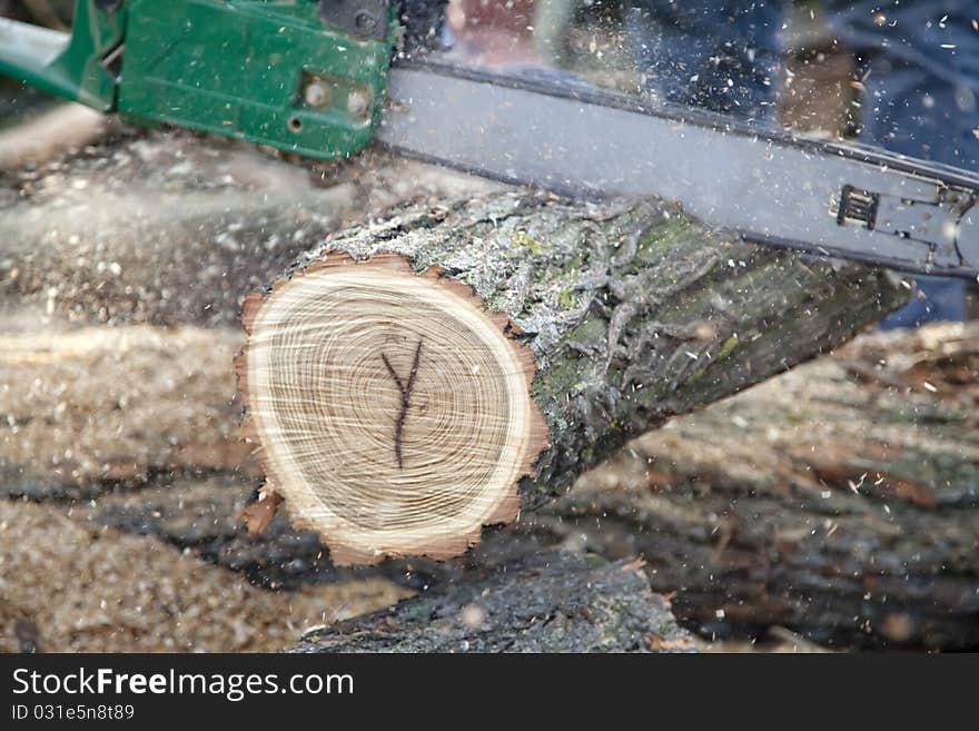 Man cutting piece of wood with chain saw.