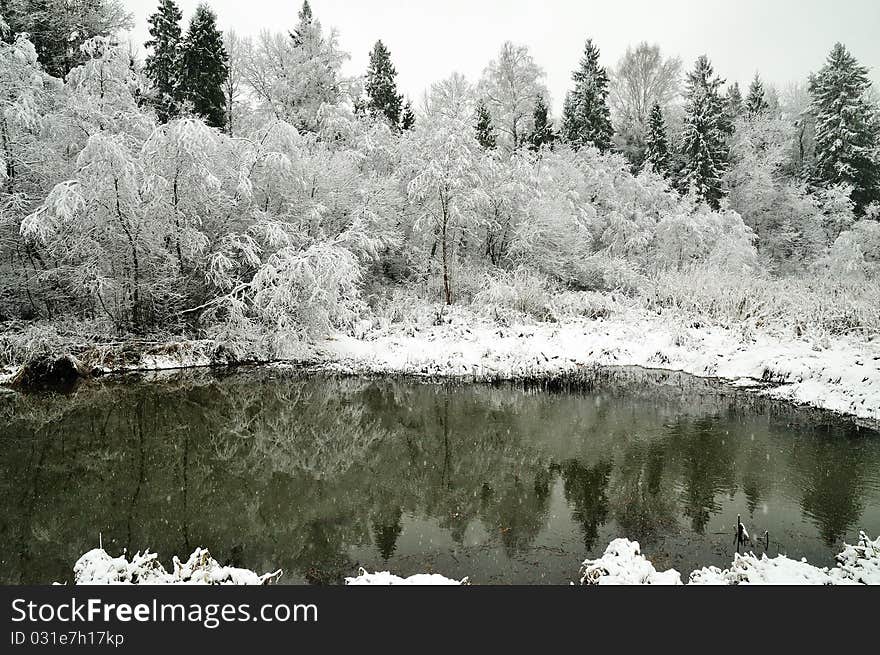 Winter forest is reflected in the river