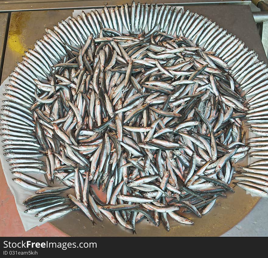 Fresh Fish At A Market