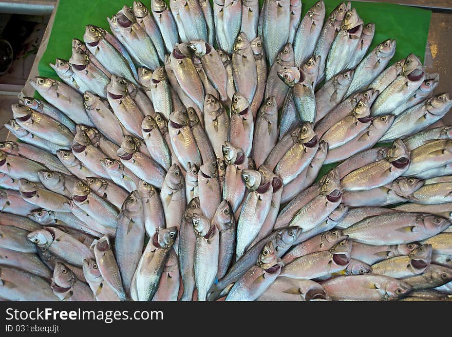 Fresh fish at a market