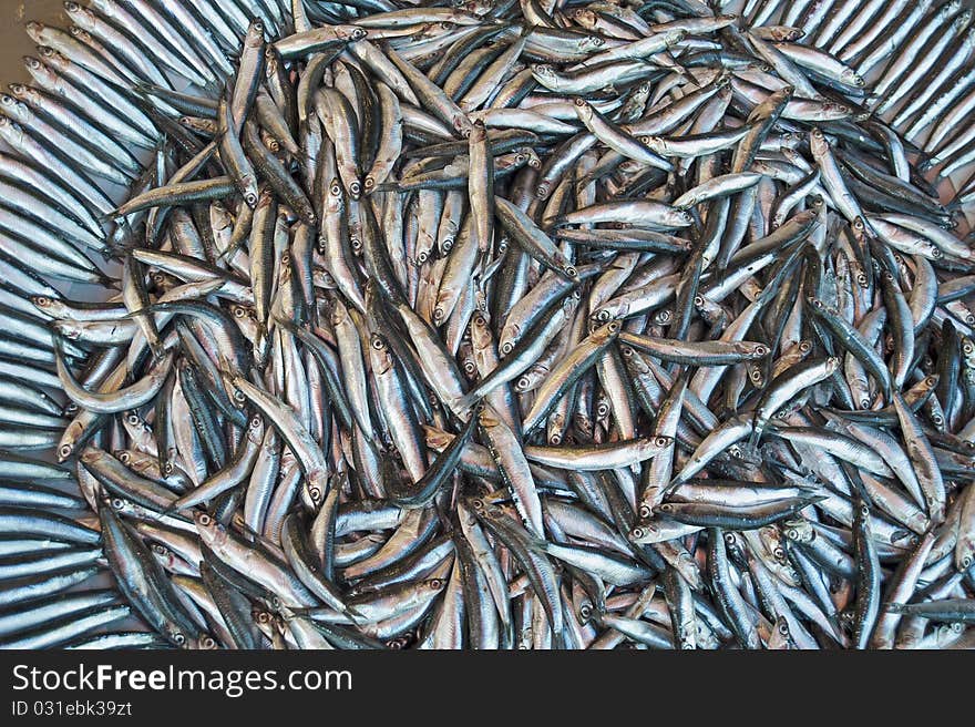 Fresh fish at a market