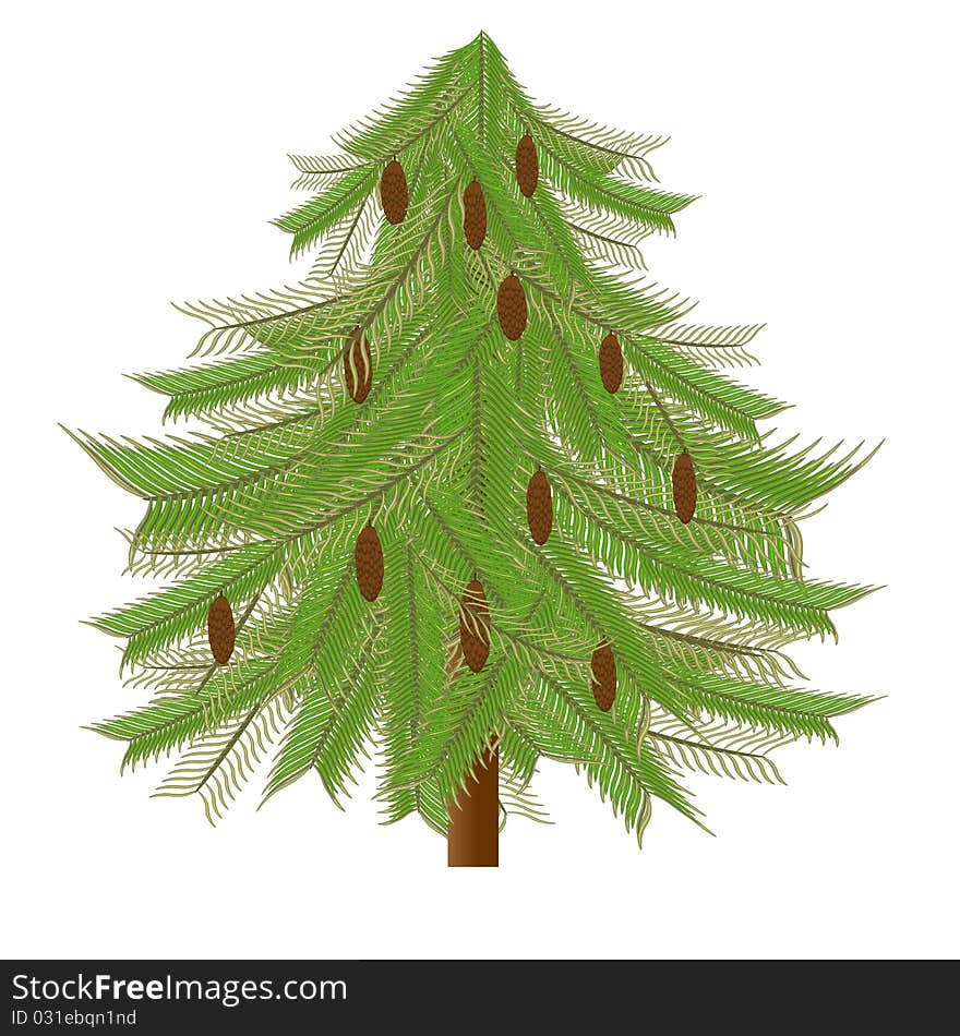 Fir-tree