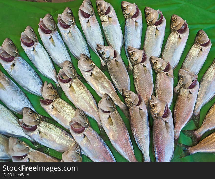 Fresh fish at a market