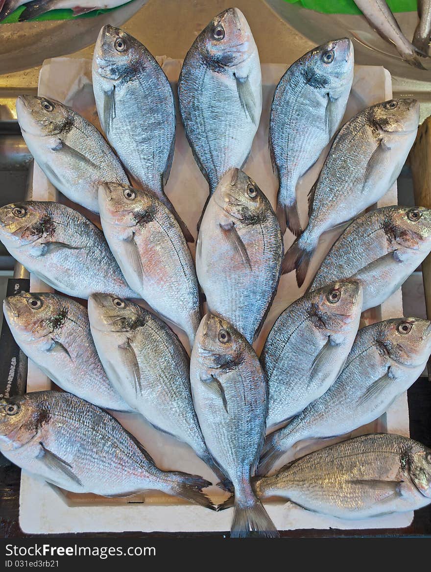 Fresh fish at a market