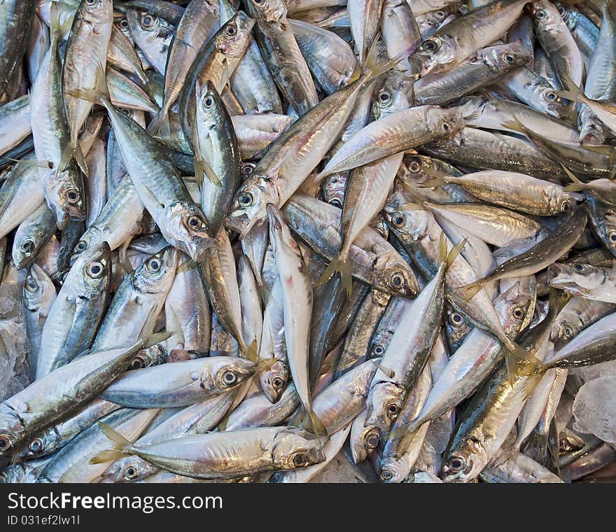 Fresh fish at a market