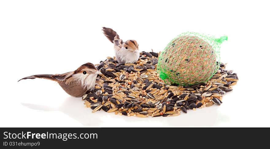 Two birds eating winter birdseeds isolated on white background