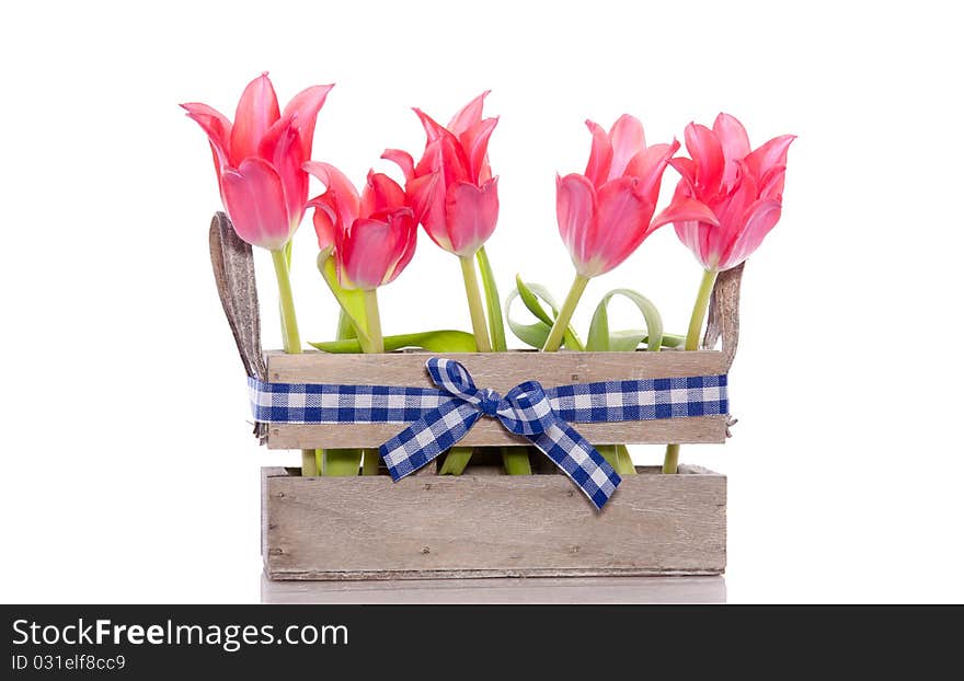 Ed tulips in a wooden crate decorated with checkered fabric ribbon isolated over white. Ed tulips in a wooden crate decorated with checkered fabric ribbon isolated over white