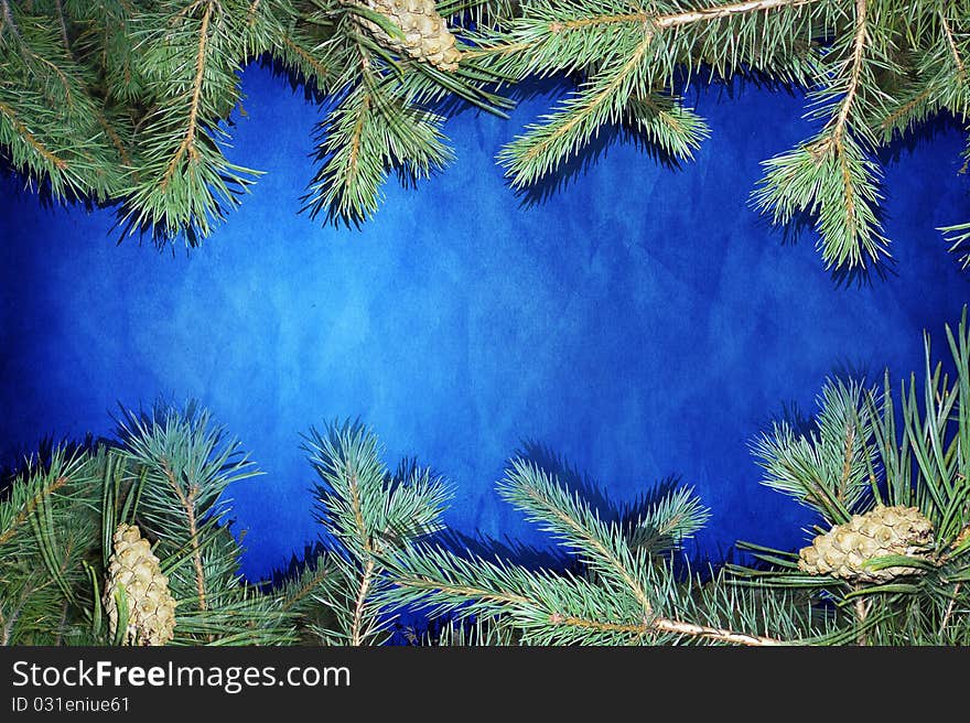 Blue  background with fir