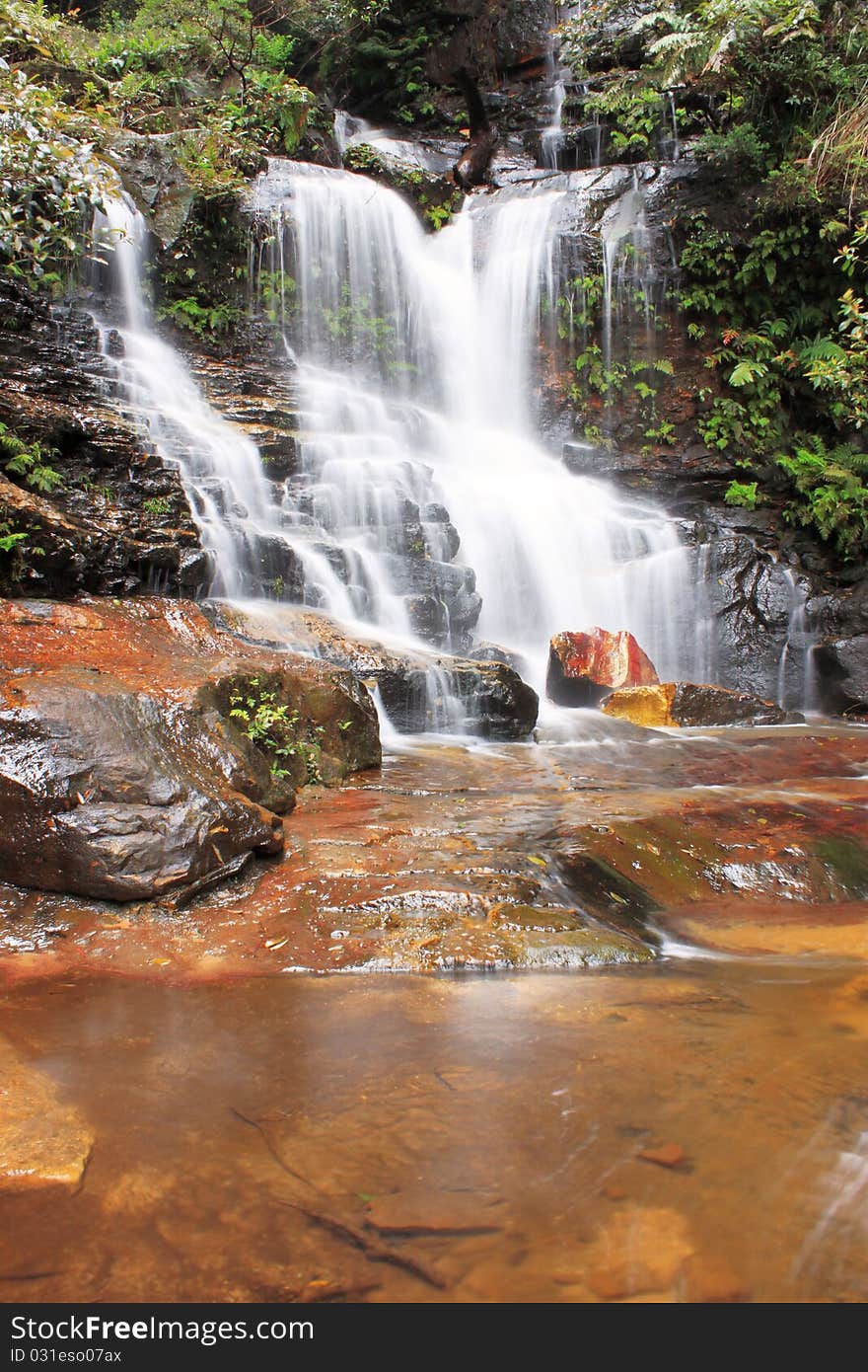 A close up shot of a waterfall and fern with rocks. A close up shot of a waterfall and fern with rocks