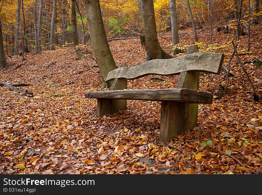 Bench in an autumnal wood