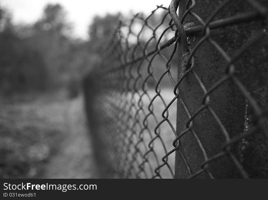 Old iron gate detail. Photo.