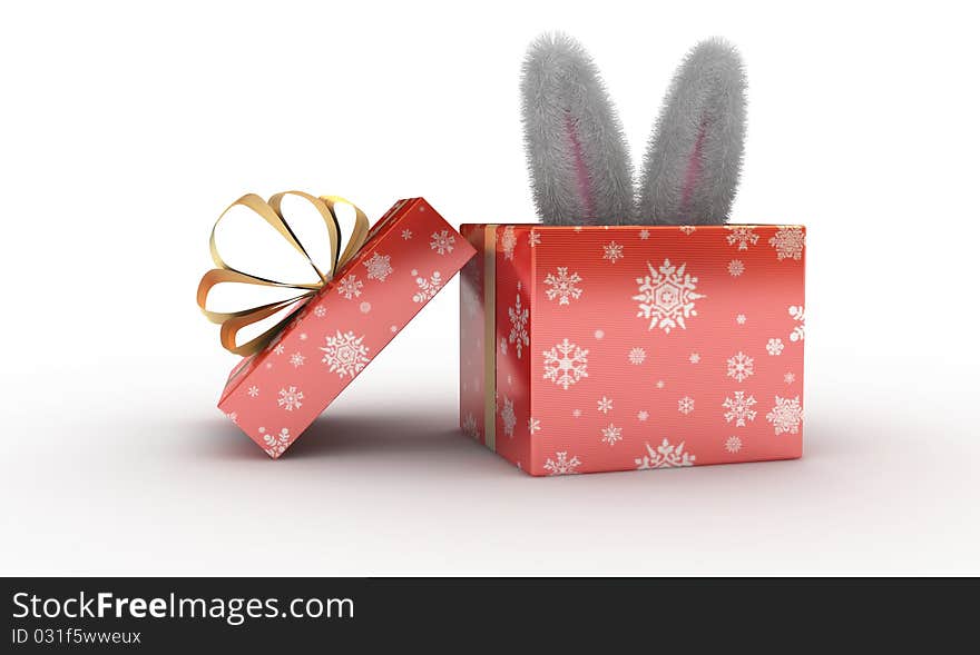 Rabbit present box