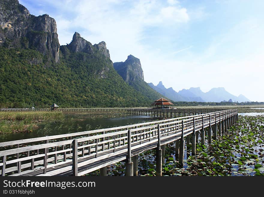 Lake Central wooden bridge4