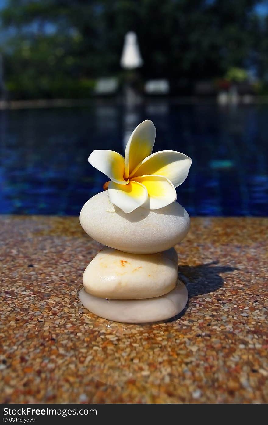 Swimming pool flower with stones