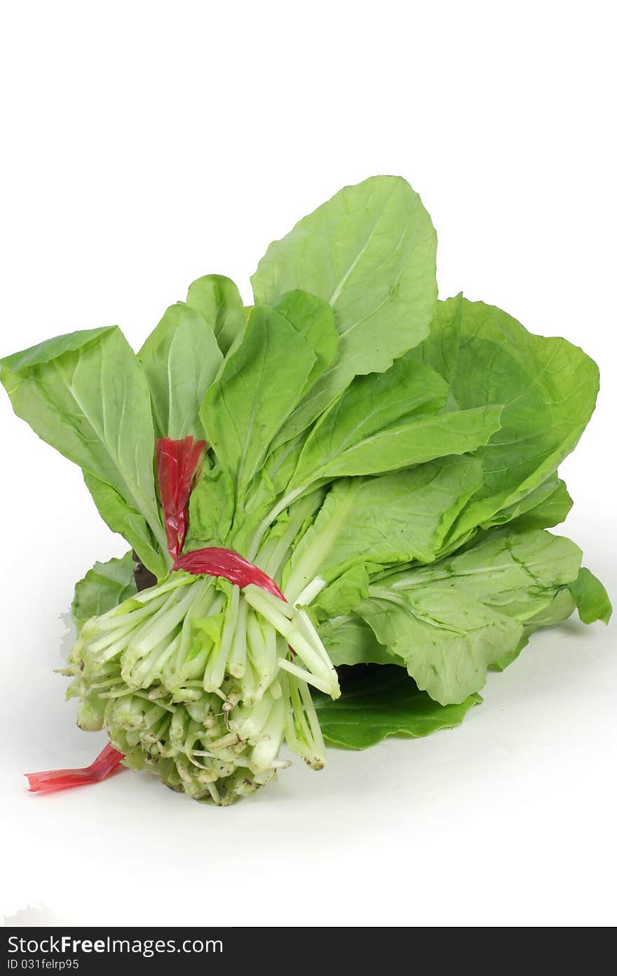 Chinese cabbage on white background