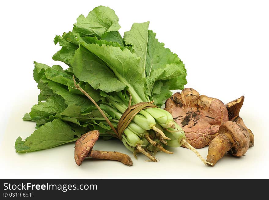 Chinese cabbage and mushrooms in a white background