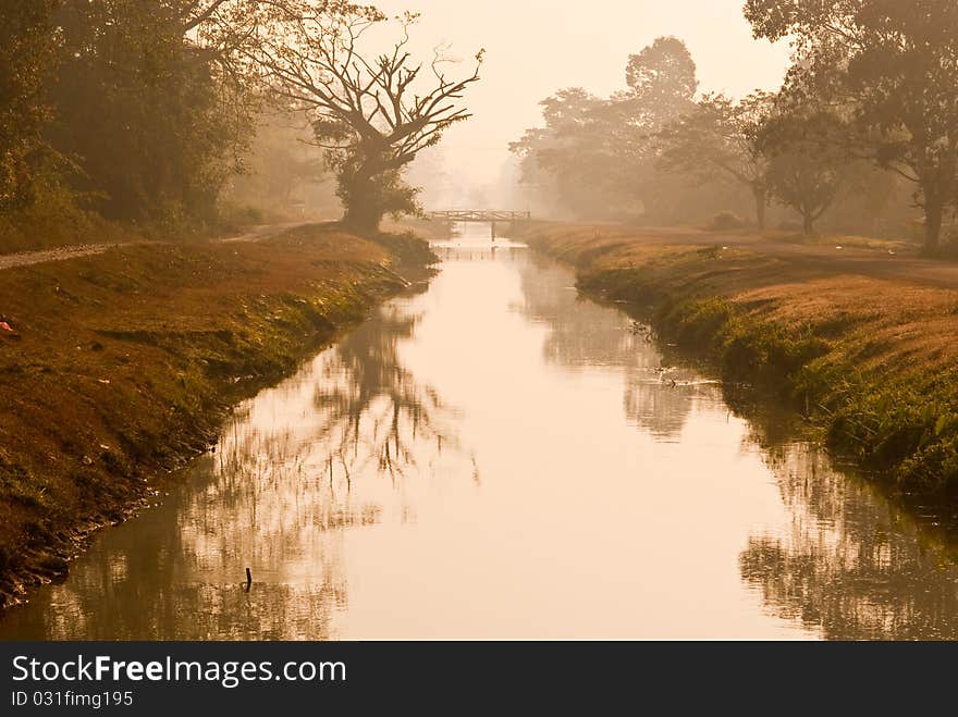 Landscape of countryside in morning light