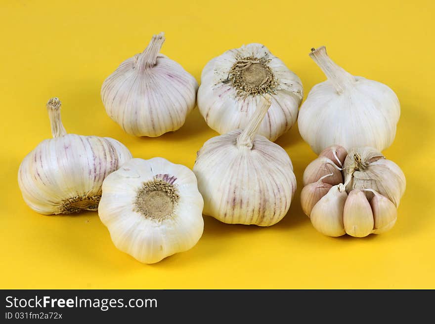 Garlic