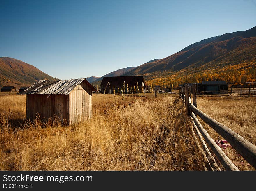 Beautiful farm