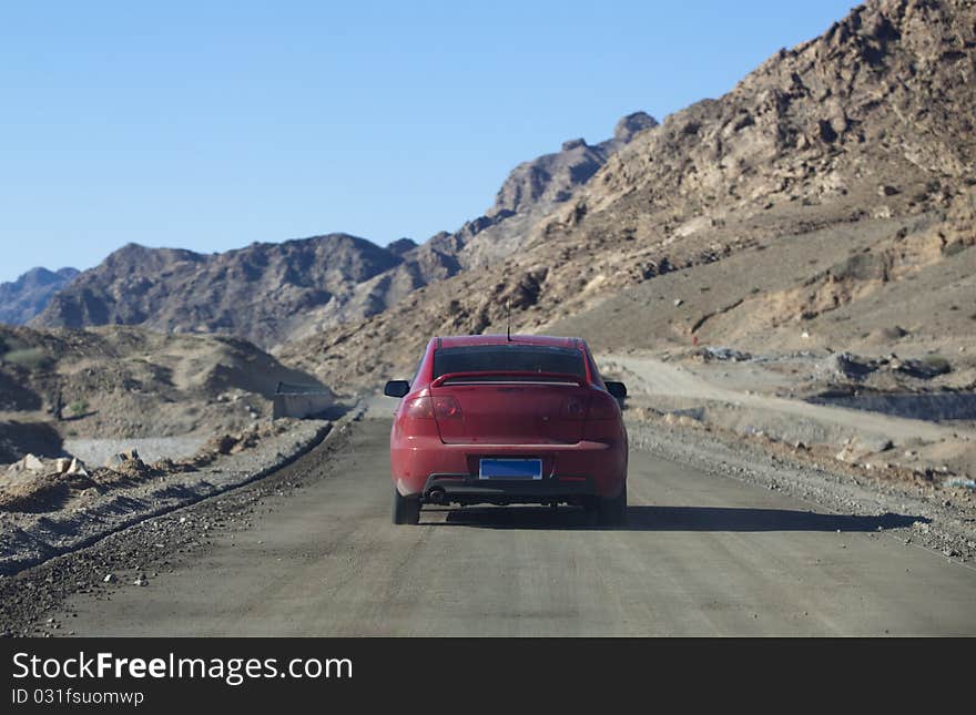 Car in the valley, China EJINAQI of Populus euphratica