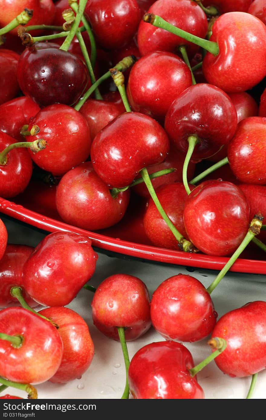 Delicious Cherries on white background