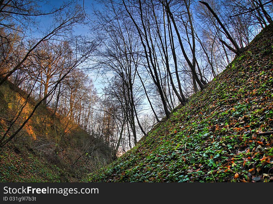 Hillock in the forest, autumn season.Beautiful day.