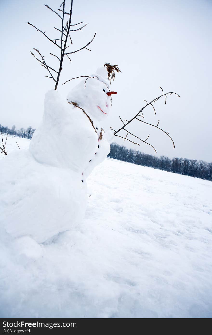 Very pleased with snowman on snow-covered field