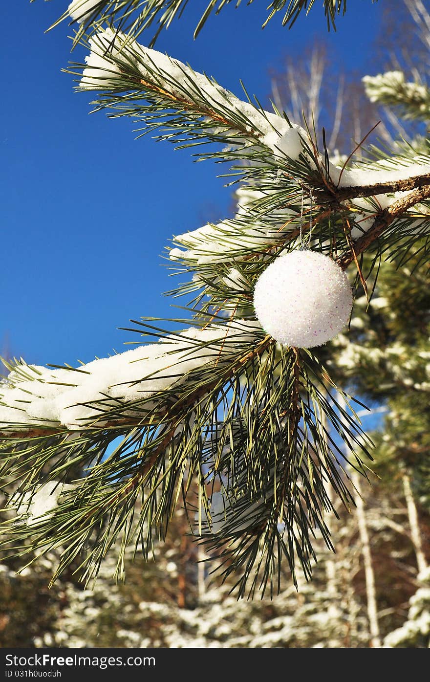 Balloon on the branches with snow; coniferous twigs; new year red decoration; close-up; holiday picture; bright field. Balloon on the branches with snow; coniferous twigs; new year red decoration; close-up; holiday picture; bright field