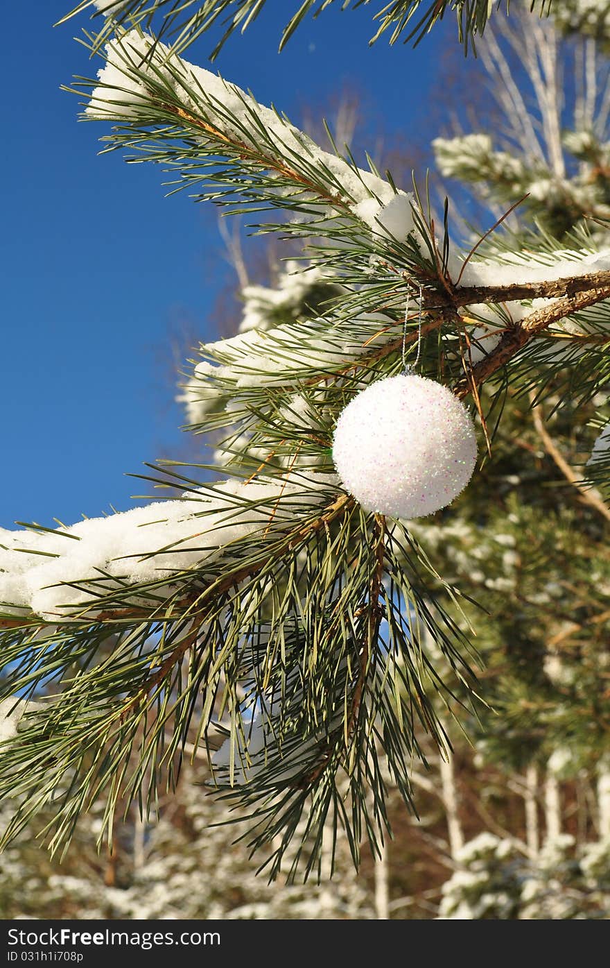 Round balloon on the branches with snow, coniferous twigs, new year white decoration, close-up, holiday picture. Round balloon on the branches with snow, coniferous twigs, new year white decoration, close-up, holiday picture