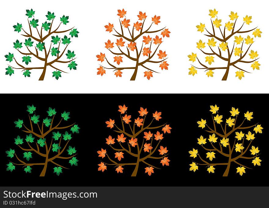 Trees with leafs on a white background