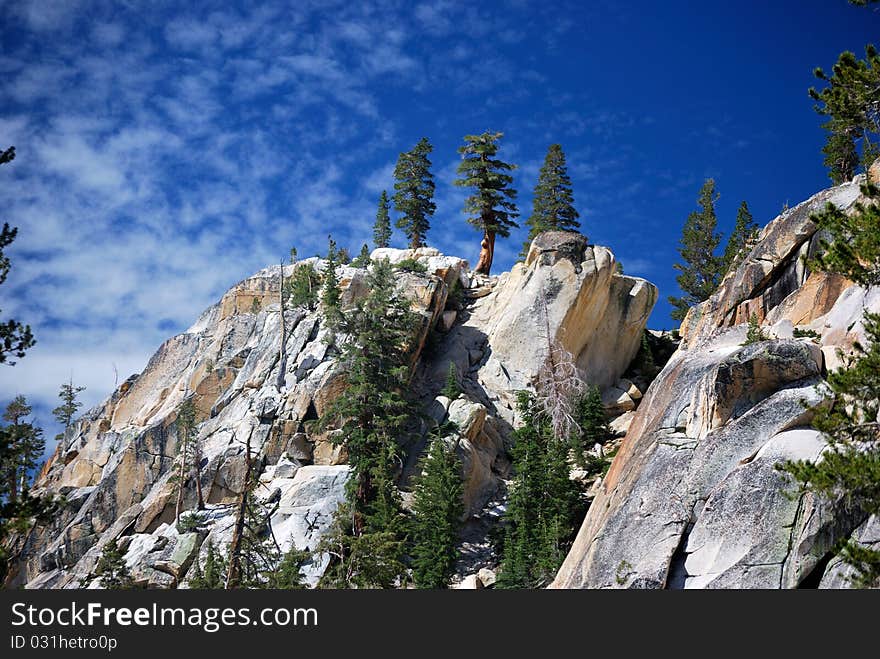 Trees at the top of a rocky ridge against the blue sky