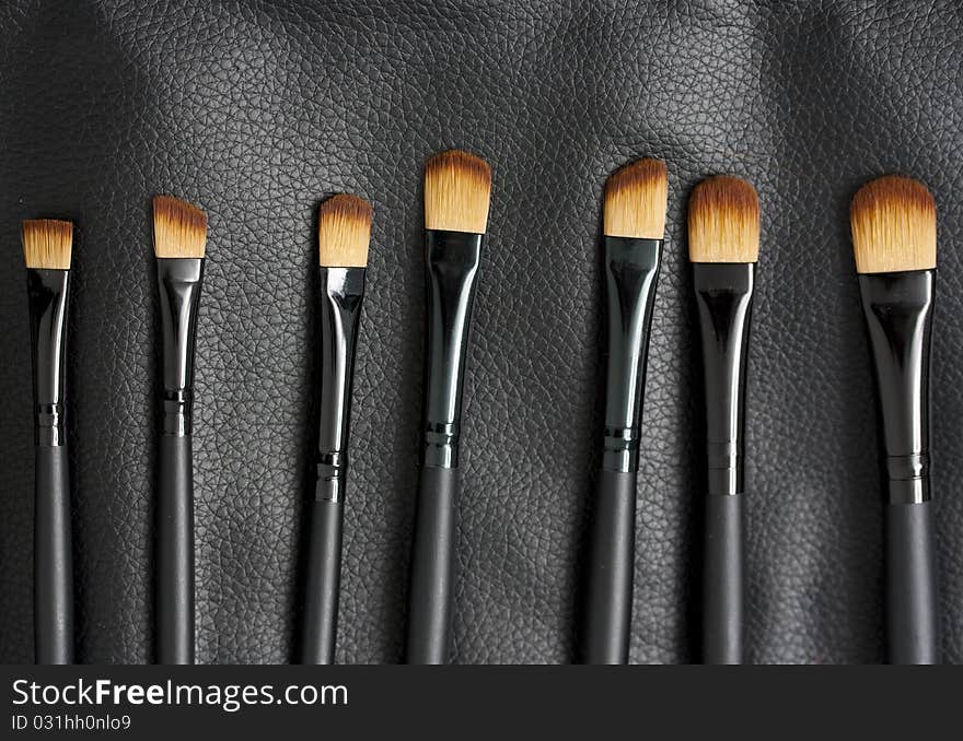 Professional makeup brushes