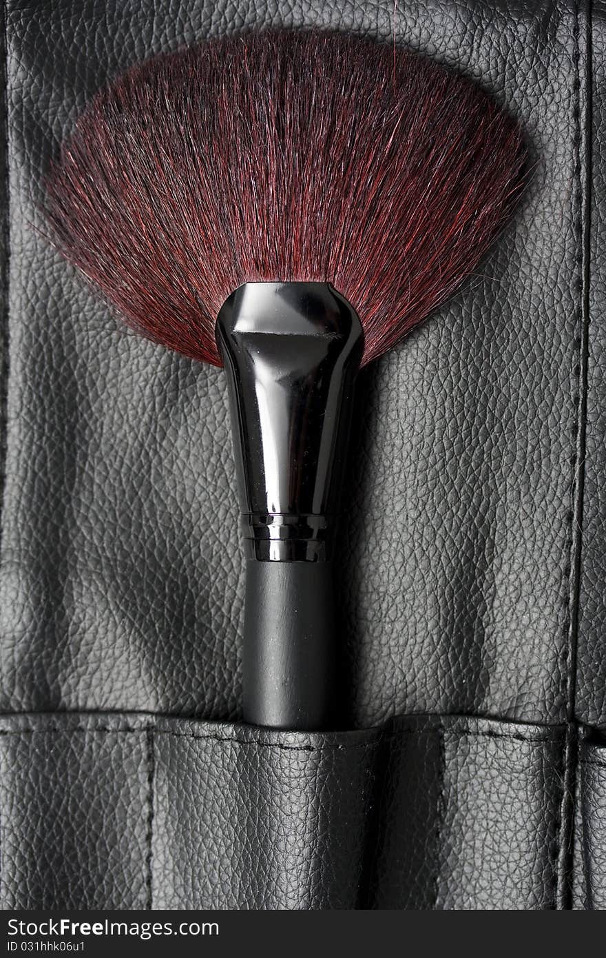 Professional brush in makeup case