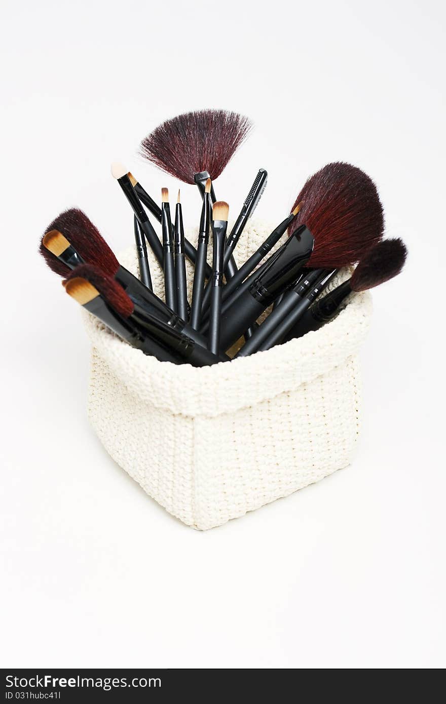 Professional cosmetic brushes isolated on white