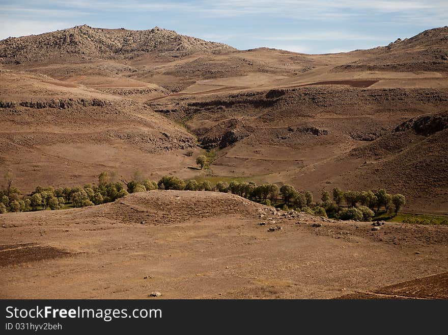 Dry desert