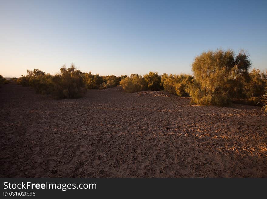 Dry desert. Very hot sand.