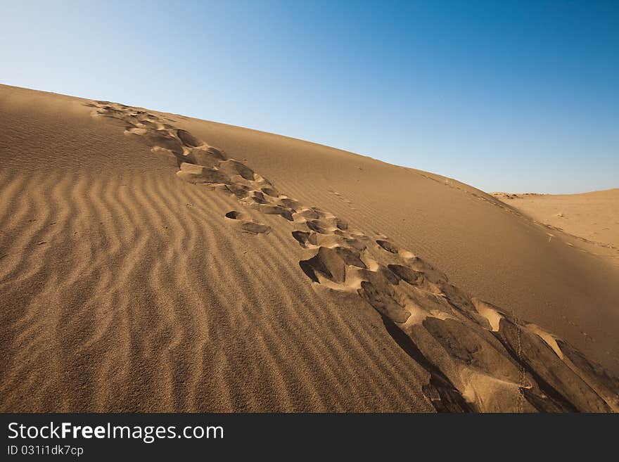 Dry desert. Very hot sand.