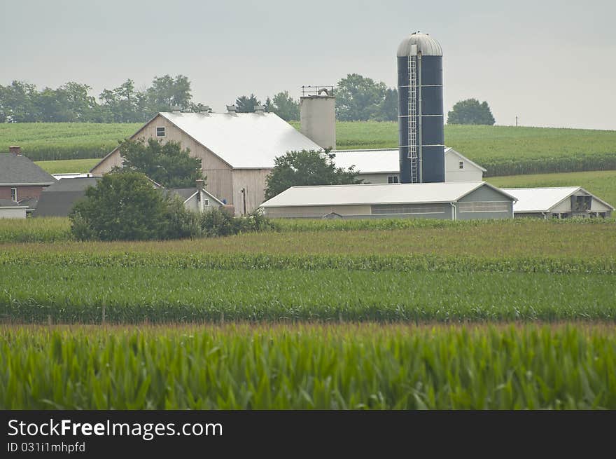 Farm In PA