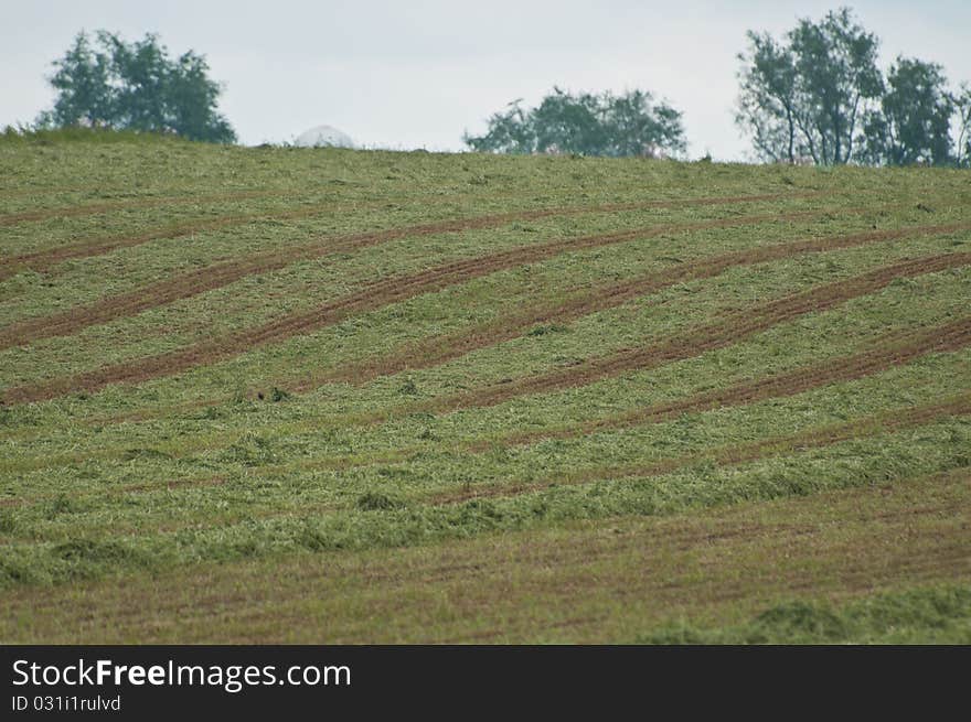 This plowed garden was freshly plowed and had straight lines.