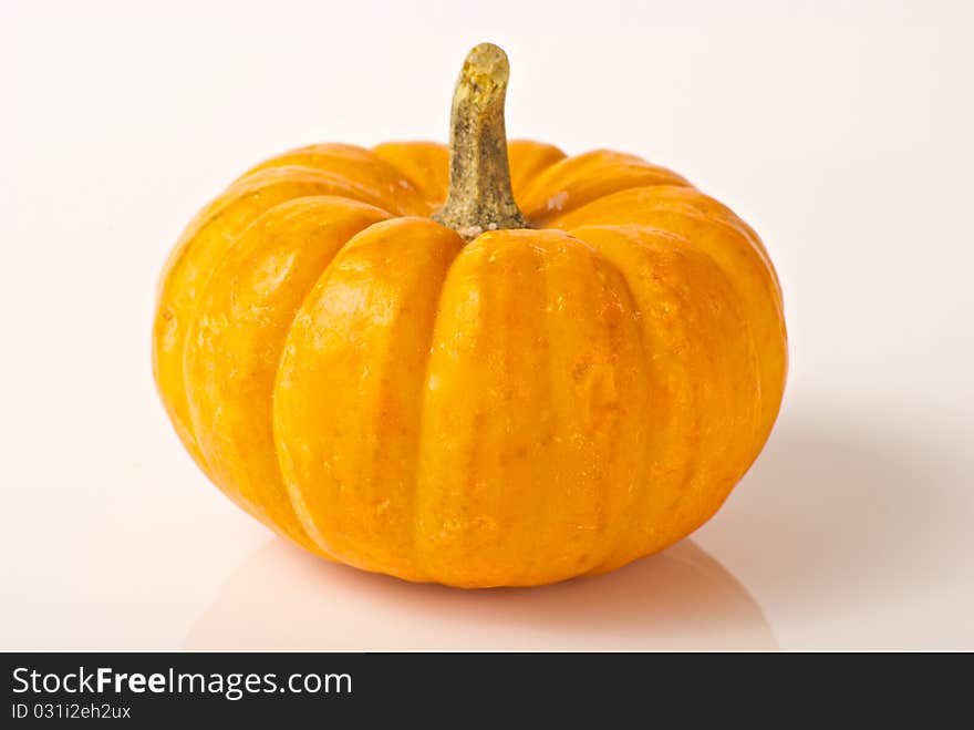 Miniature Pumpkin on White