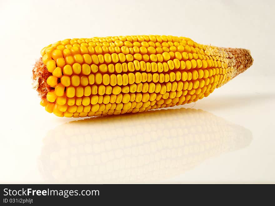 Dried Corn with Reflection