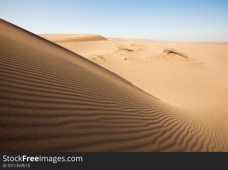 Dry desert. Very hot sand.