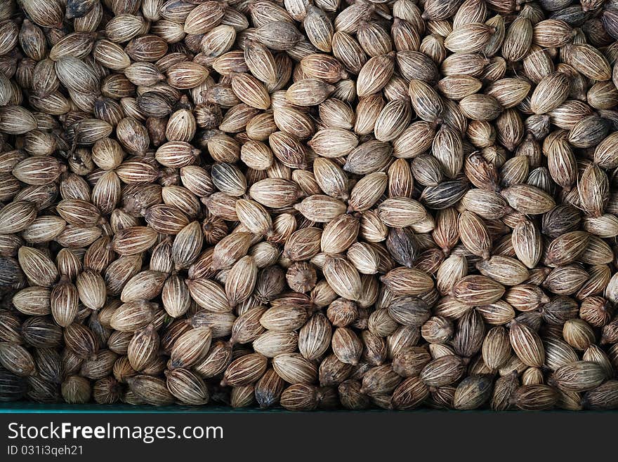 Seed on a Street Market. Seed on a Street Market.