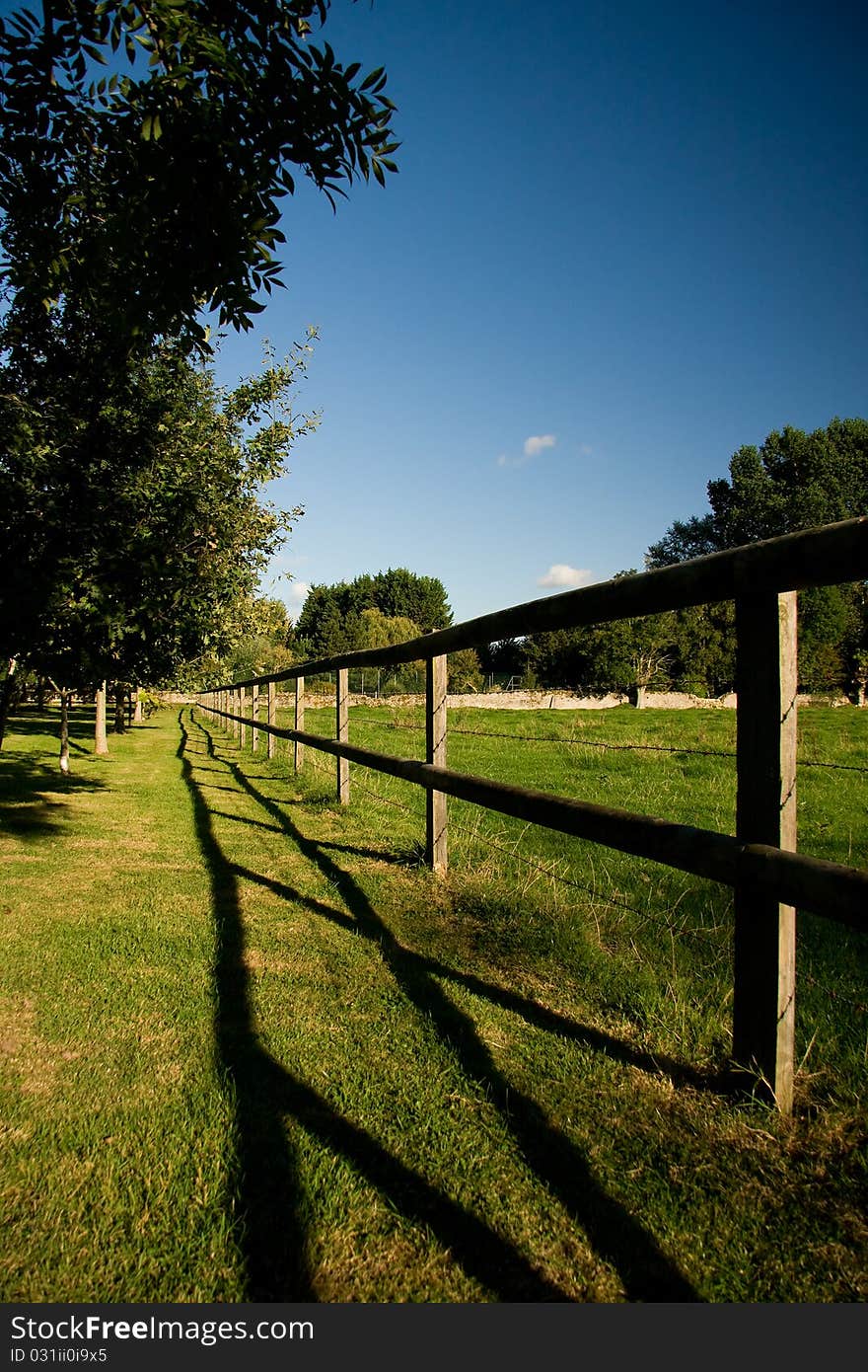 Fence dividing orchard and meadow, Normandy, France