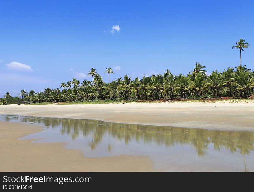 Tropical beach paradise