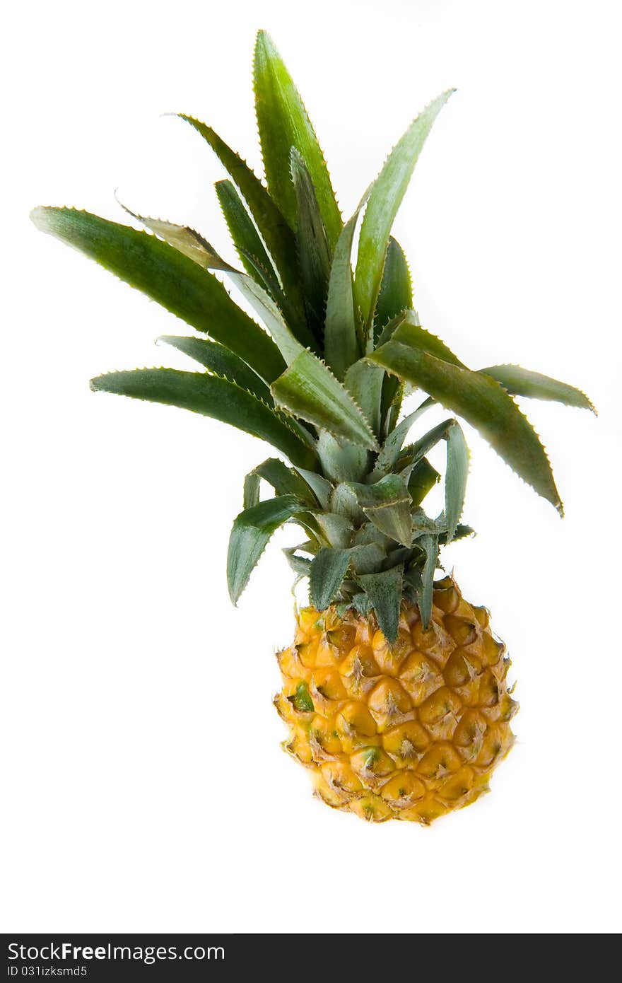 Whole fresh pineapple on white background