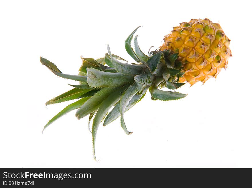 Whole fresh pineapple on white background