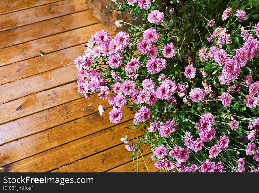 Stillife with flowers on the wooden floor