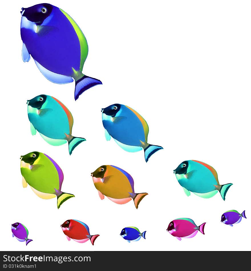 Colorful fishes