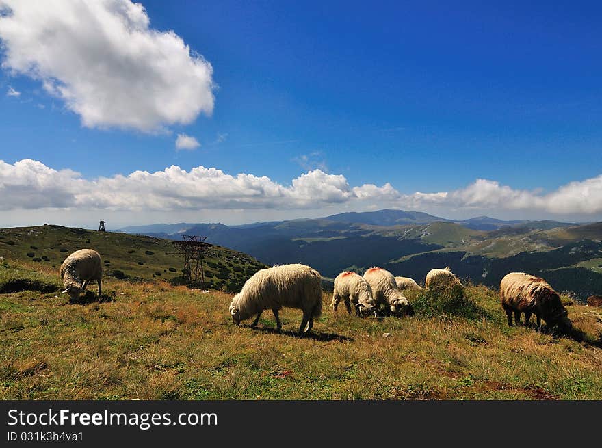 Mountains Landscape